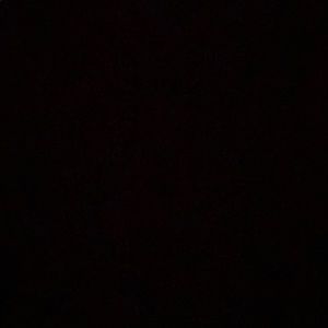 Meet your Posher, Ben